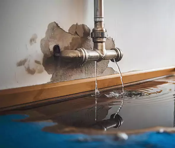 Professional Water Damage Restoration Experts in Hialeah, FL — Fast, Reliable & Certified