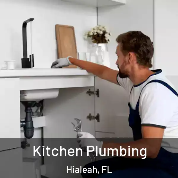  Kitchen Plumbing Hialeah, FL