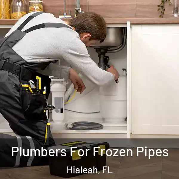  Plumbers For Frozen Pipes Hialeah, FL
