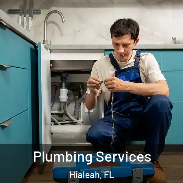 Plumbing Services Hialeah, FL